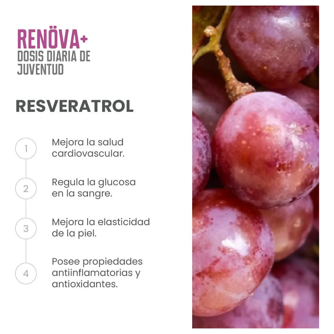 Renova+ Original_ Biopeptidos De Colágeno + Resveratrol + Regalo 10