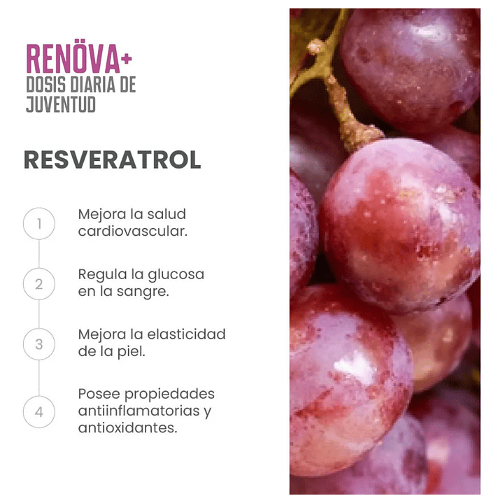 Renova+ Original_ Biopeptidos De Colágeno + Resveratrol + Regalo 10