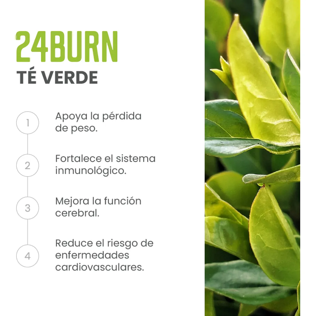 24 Burn Fwp Energizante y reductor de tallas 500gr Original 5