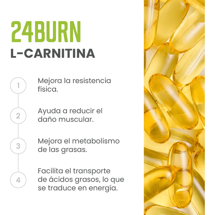 24 Burn Fwp Energizante y reductor de tallas 500gr Original 8