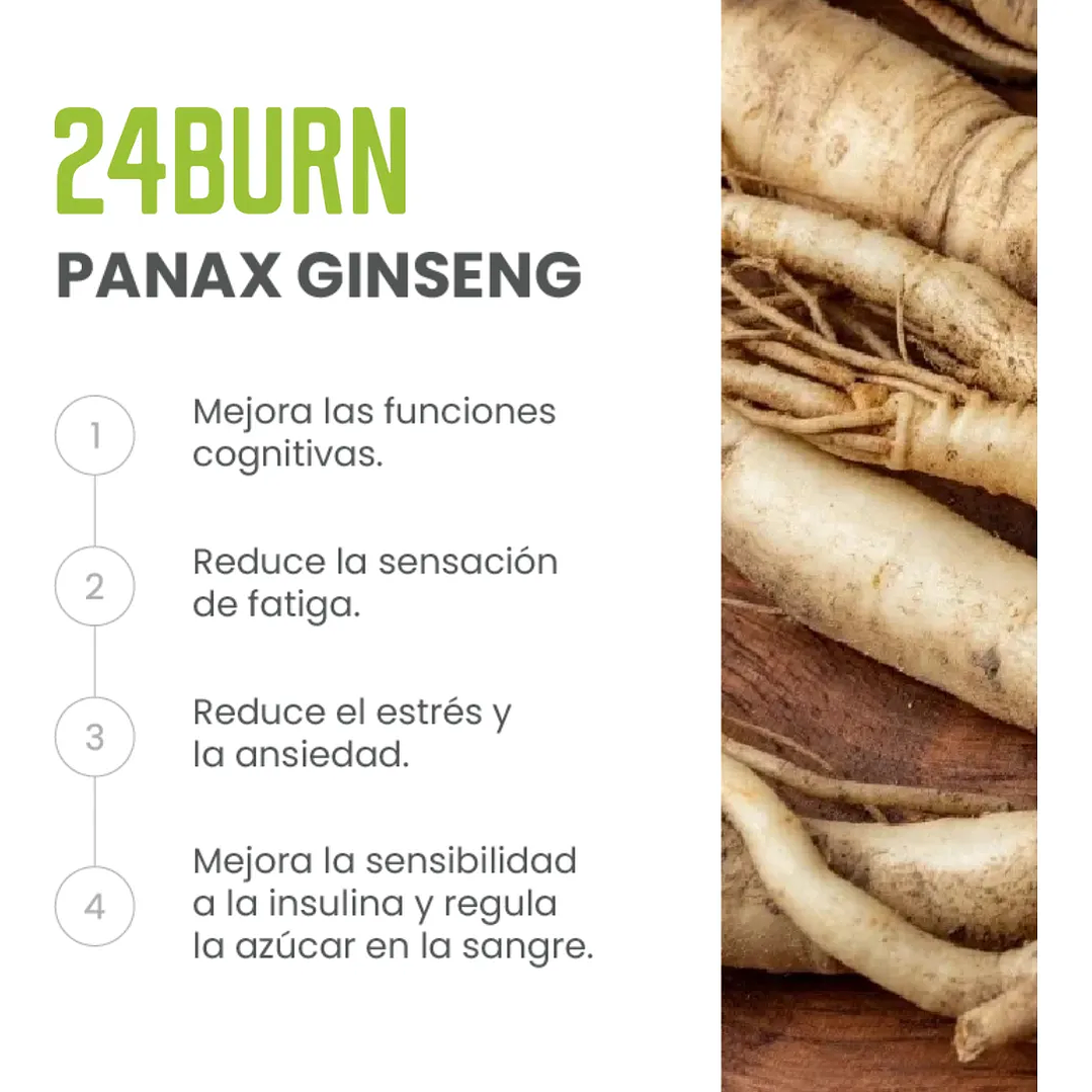 24 Burn Fwp Energizante y reductor de tallas 500gr Original 9