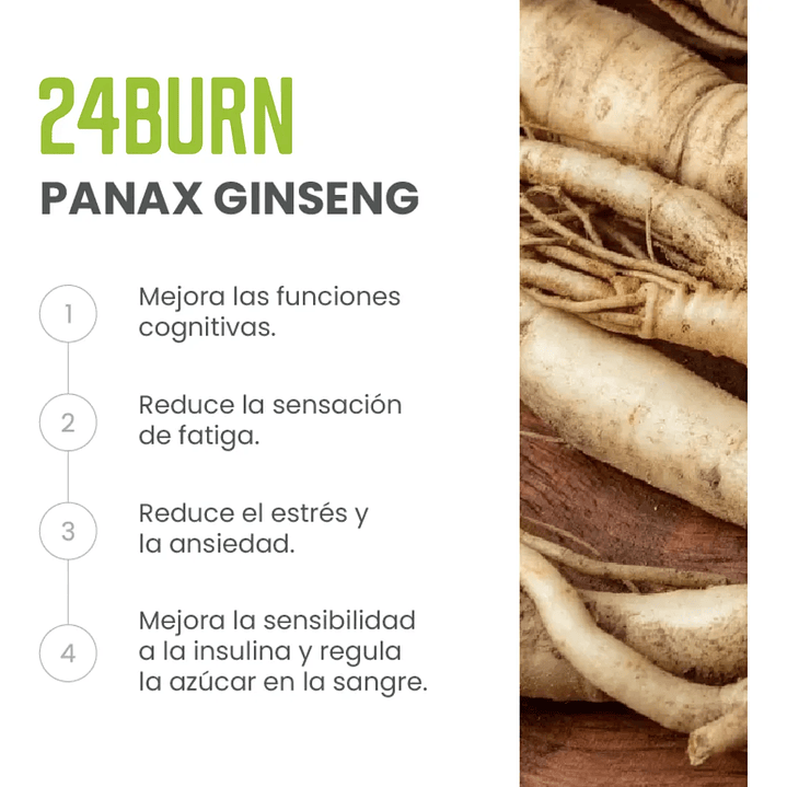 24 Burn Fwp Energizante y reductor de tallas 500gr Original 9