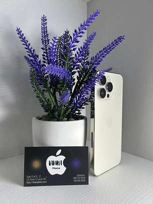 iPhone 14 Pro Max 256gb Gold