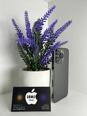 iPhone 13 Pro 512GB Grafito