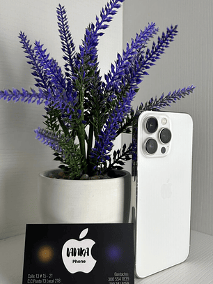 iPhone 13 Pro 256gb Silver 