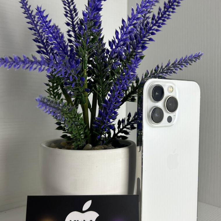 iPhone 13 Pro 256gb Silver  2