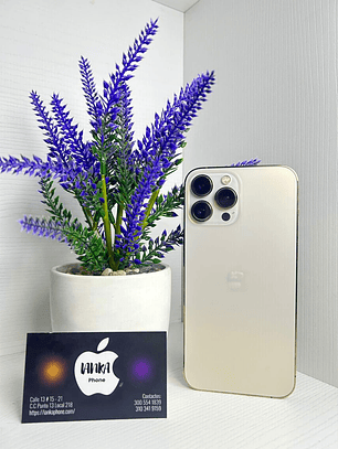 iPhone 13 Pro Max 128gb Gold