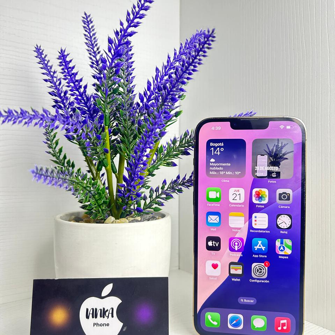 iPhone 13 Pro Max 128gb Gold 4