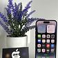 iPhone 14 Pro 256gb Black - Miniatura 4