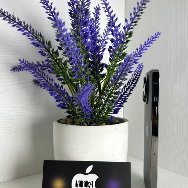 iPhone 13 Pro 128gb Grafito 4