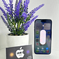 IPhone 15 128GB Azul - Miniatura 5