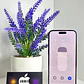 iPhone 14 Pro Max 128gb Purple - Miniatura 4