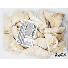 25 Empanadas Media Luna Preorneada Queso Kg. 2