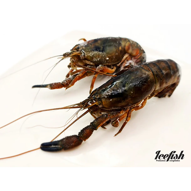 Camarón de Río 1kg 1