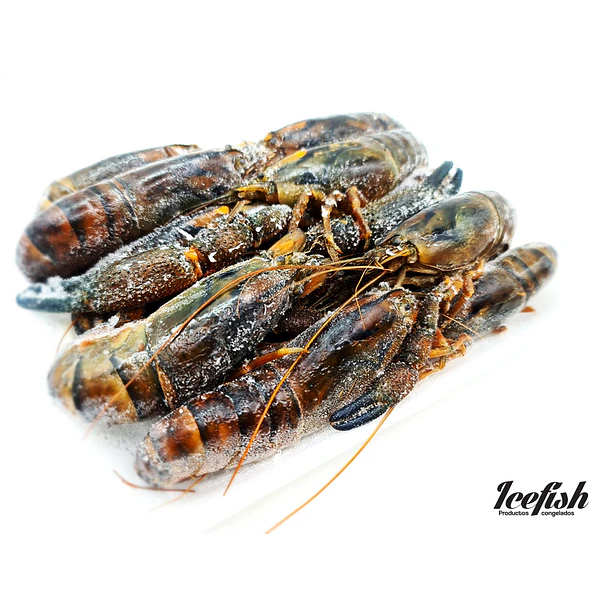 Camarón de Río 1kg 2