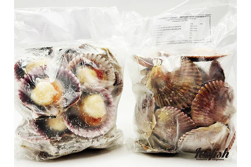 Ostiones Media Concha Mediano Kg.