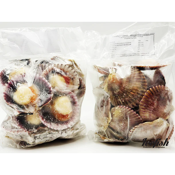 Ostiones Media Concha Mediano Kg.