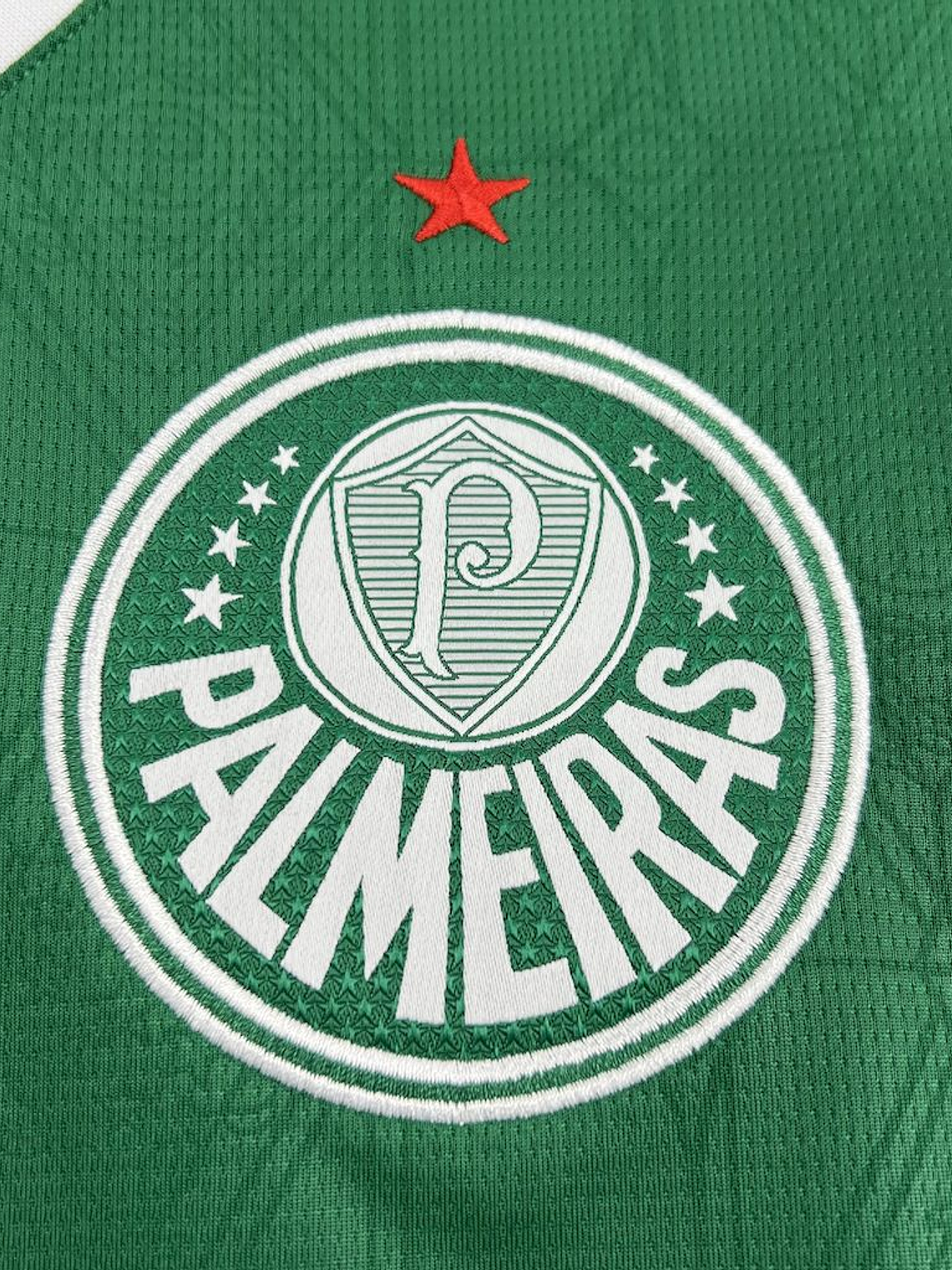CAMISOLA DO PALMEIRAS 25/26 VERDE 2