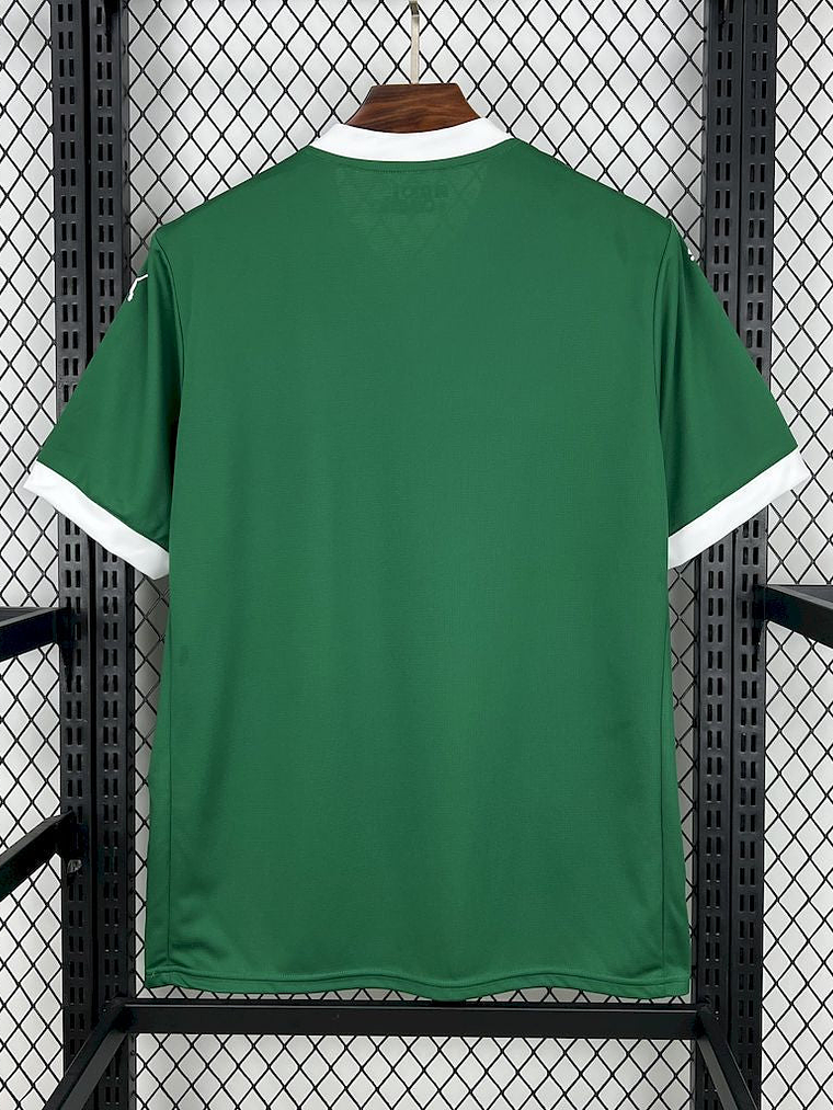CAMISOLA DO PALMEIRAS 25/26 VERDE 3