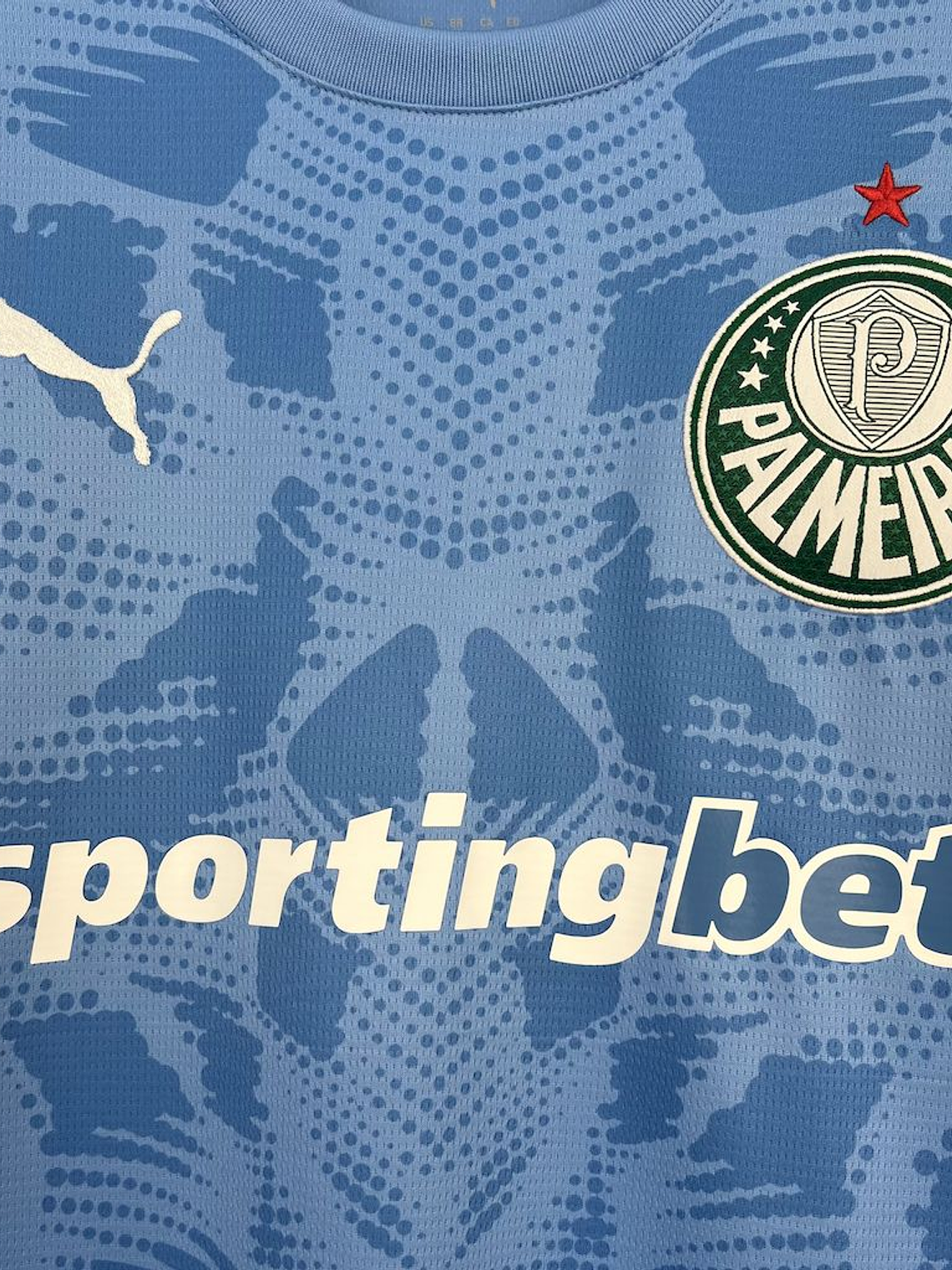 CAMISOLA DO PALMEIRAS 25/26 AZUL 2