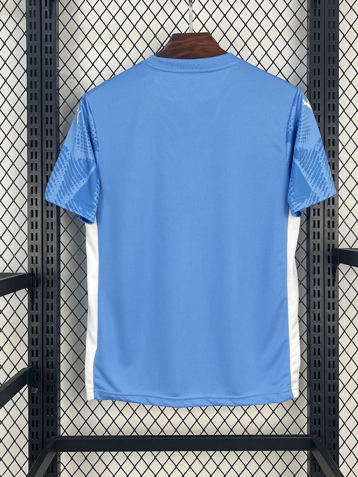 CAMISOLA DO PALMEIRAS 25/26 AZUL 3