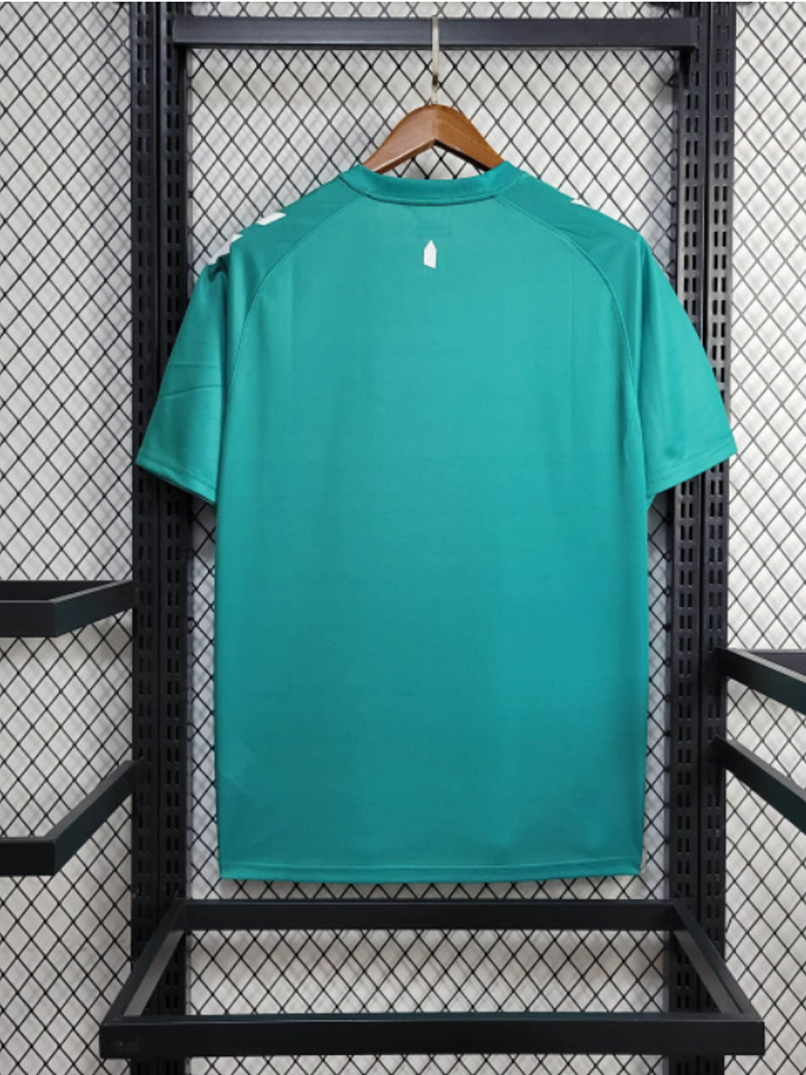 CAMISOLA DO EWERTON 24/25 VERDE EDIÇÃO ESPECIAL 2