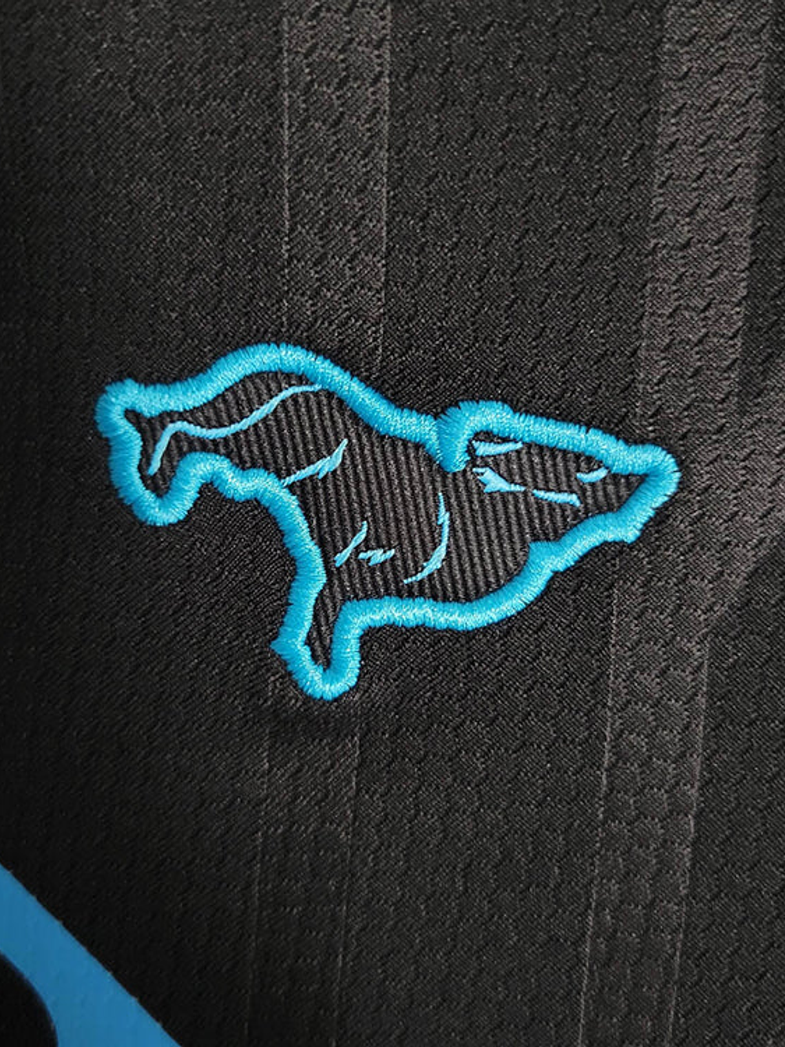 CAMISA FEMININA DO PAISANDU 23/24 PRETO 3