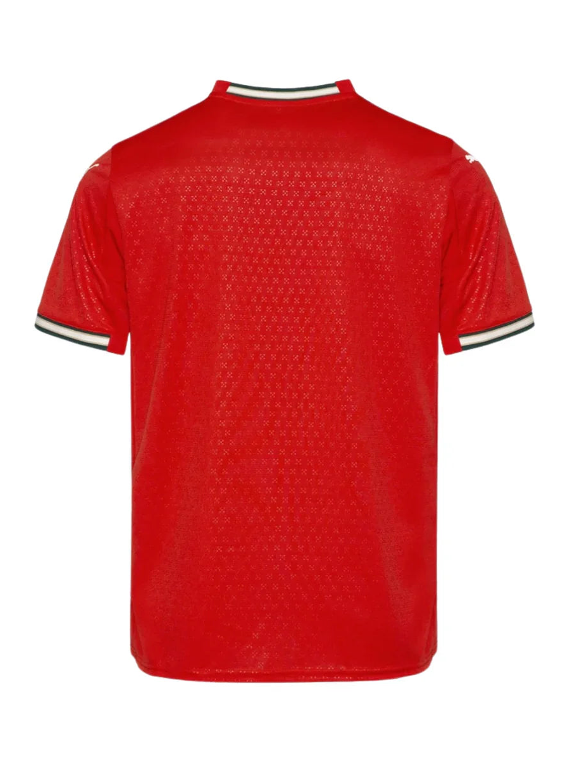 CAMISOLA DA SELEÇÃO DE PORTUGAL 26/27 VERMELHO 2