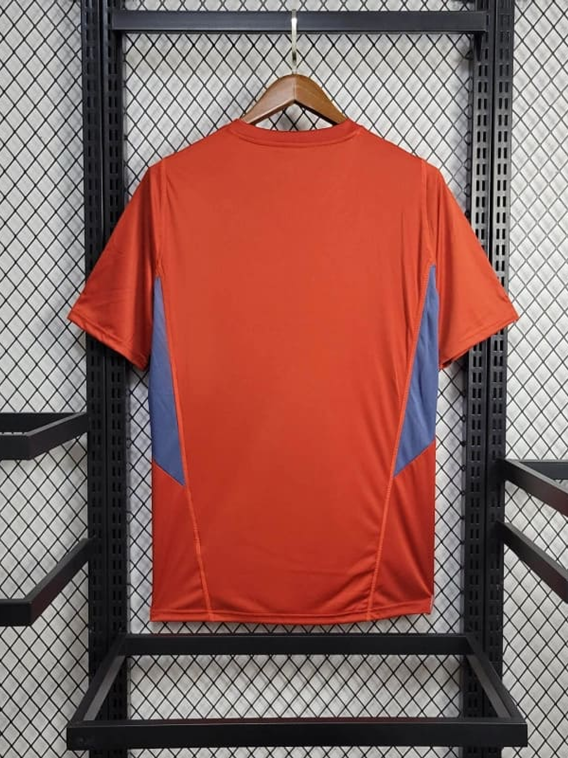 CAMISOLA DO CRUZEIRO 24/25 VERMELHO TREINO 3