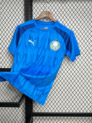 CAMISOLA DO PALMEIRAS 24/25 AZUL