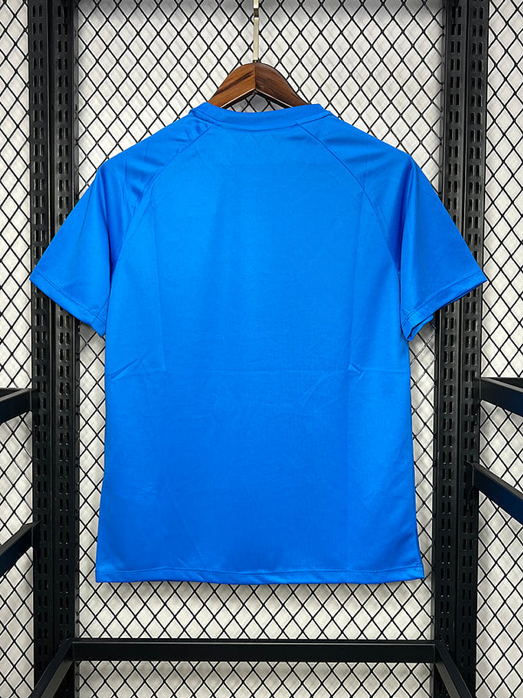 CAMISOLA DO PALMEIRAS 24/25 AZUL 3