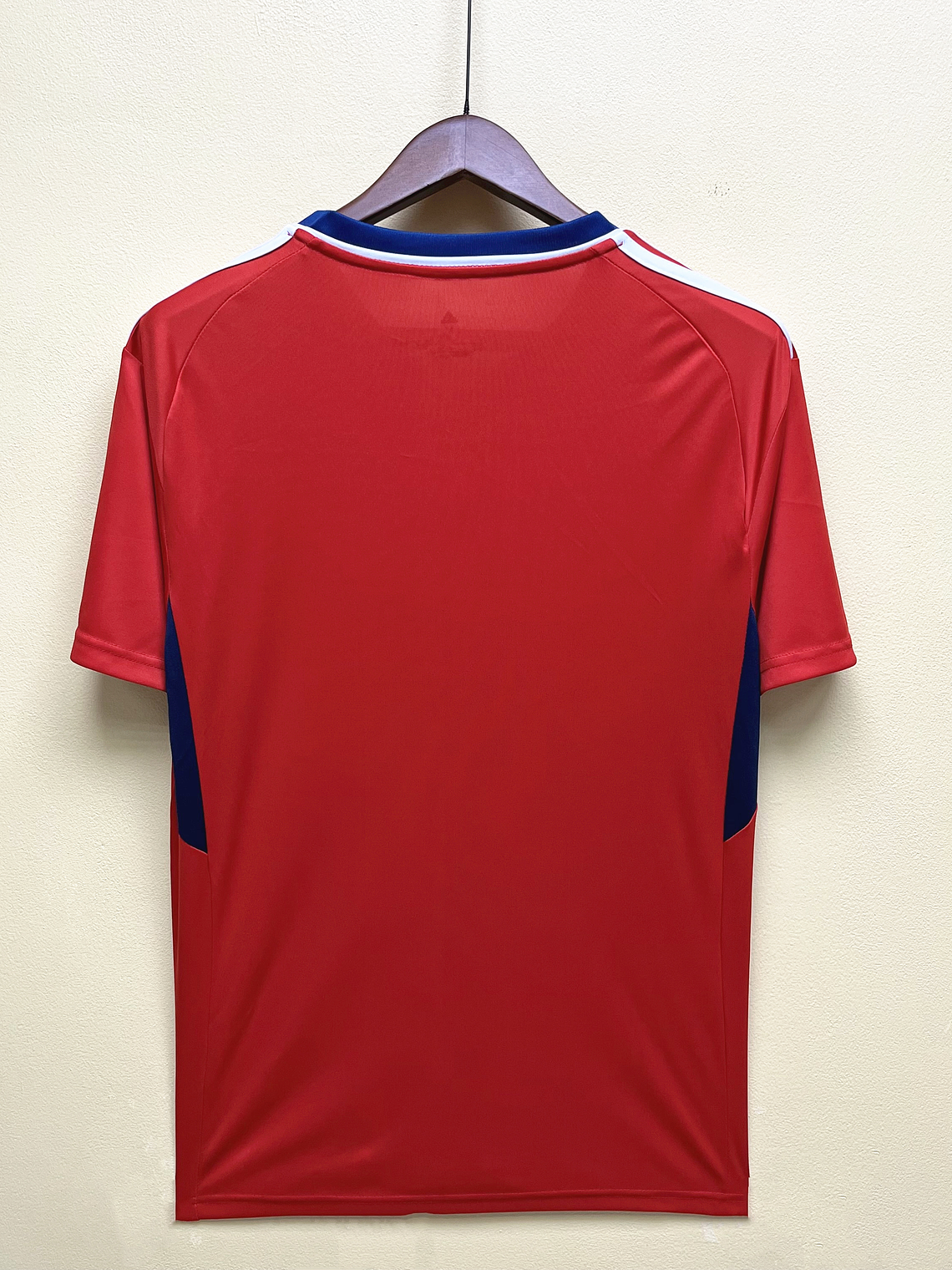CAMISOLA DA SELEÇÃO DA COSTA RICA 23/24 - VERMELHO 4