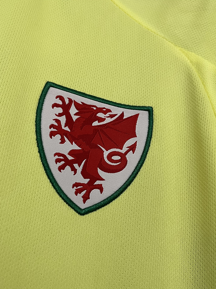 CAMISOLA DA SELEÇÃO DOS PAIS DE GALES 24/25 - AMARELA 3