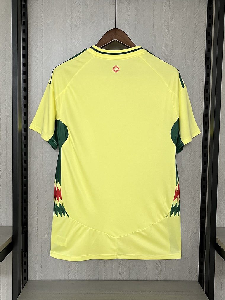 CAMISOLA DA SELEÇÃO DOS PAIS DE GALES 24/25 - AMARELA 4