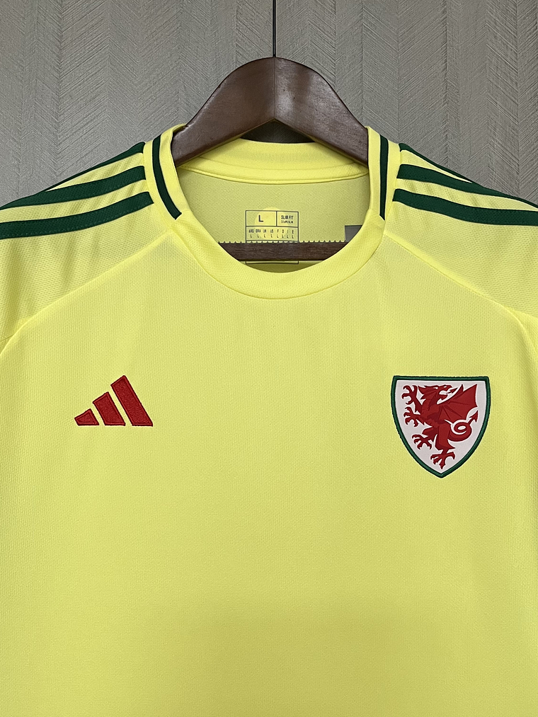 CAMISOLA DA SELEÇÃO DOS PAIS DE GALES 24/25 - AMARELA 5