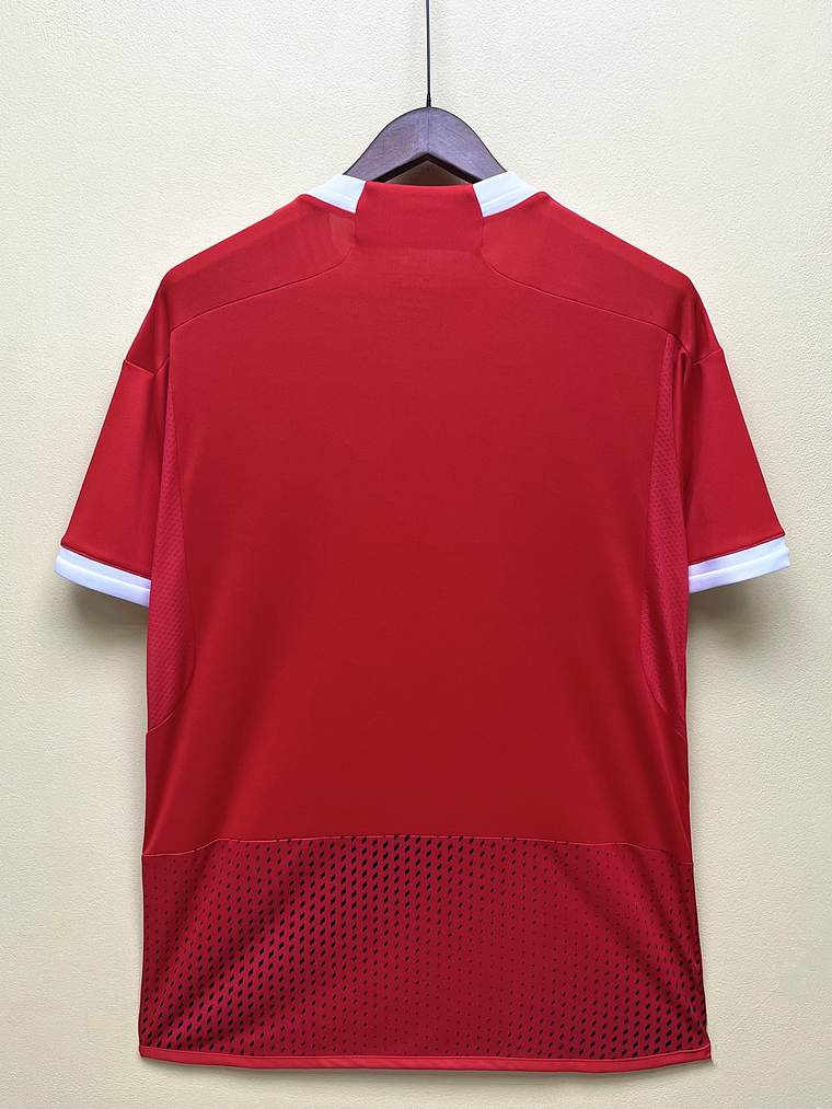 CAMISOLA DA SELEÇÃO DO PERU 23/24 - VERMELHA 5