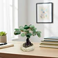 Árbol de Piedra Cuarzo Verde - Equilibrio y Armonía - Miniatura 3