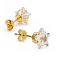 Topos Aretes Estrella Cristal Mini Oro Laminado 18k - Miniatura 5