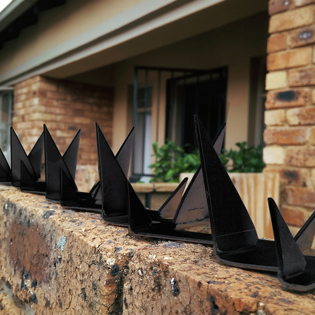 Punta de Seguridad Simple 2