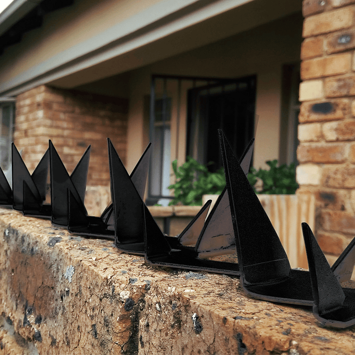 Punta de Seguridad Simple 2