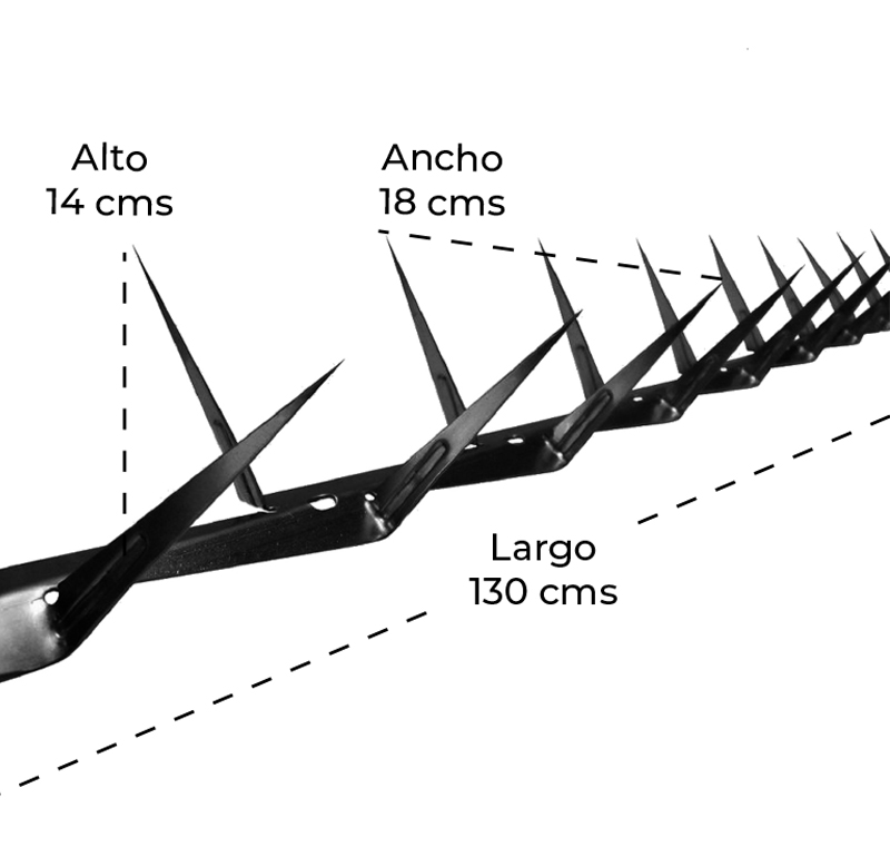 Punta de Seguridad Simple