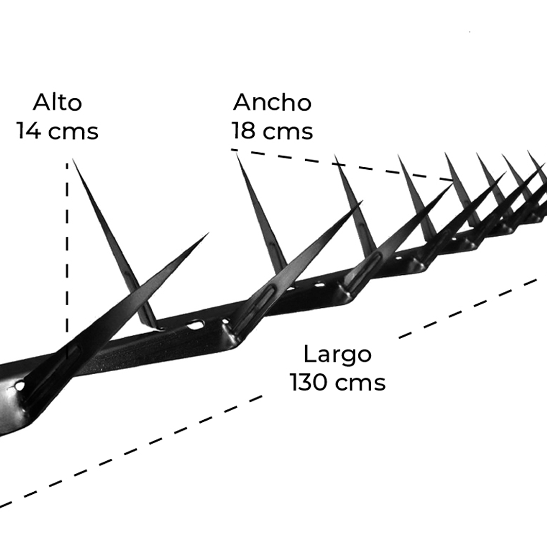 Punta de Seguridad Simple 3