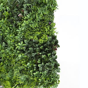 Jardin Vertical Oasis 