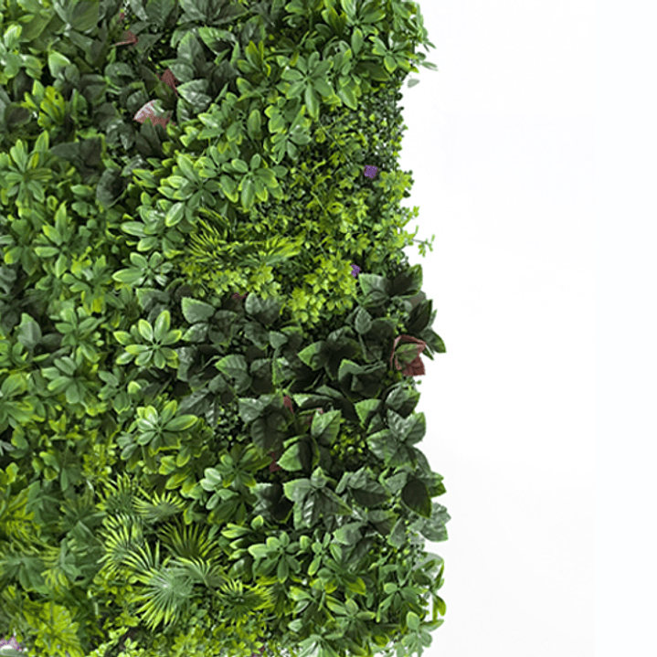 Jardin Vertical Oasis  1