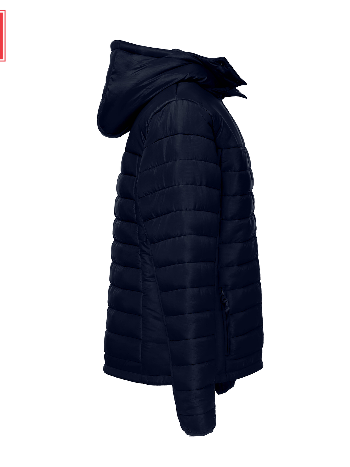 S H I E L D W O M E N 1