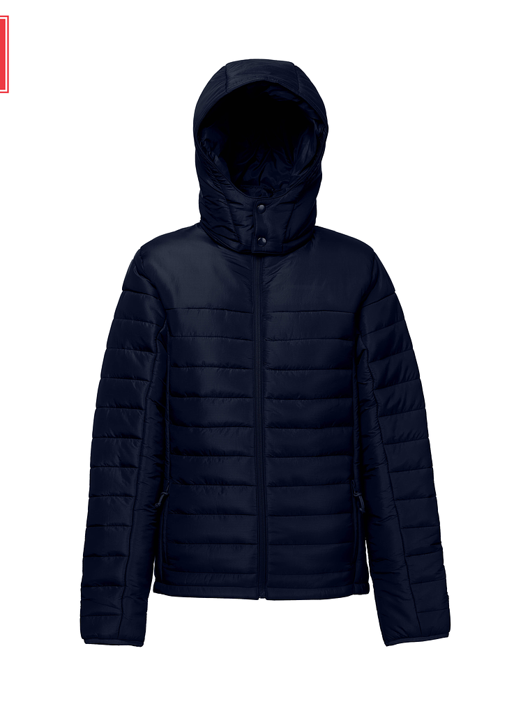 S H I E L D W O M E N 2