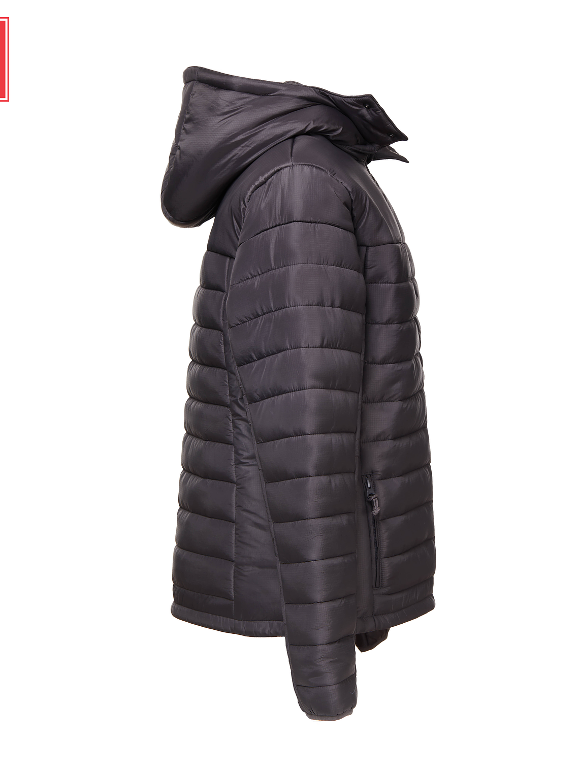 S H I E L D W O M E N 8