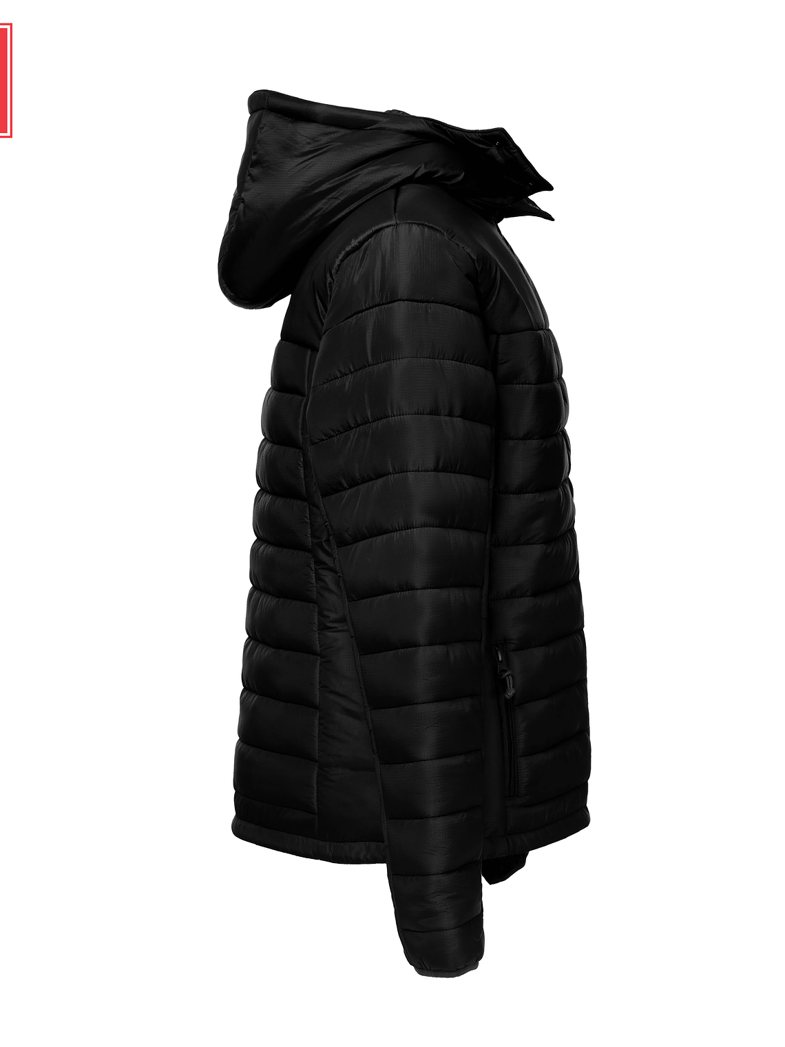 S H I E L D W O M E N 12