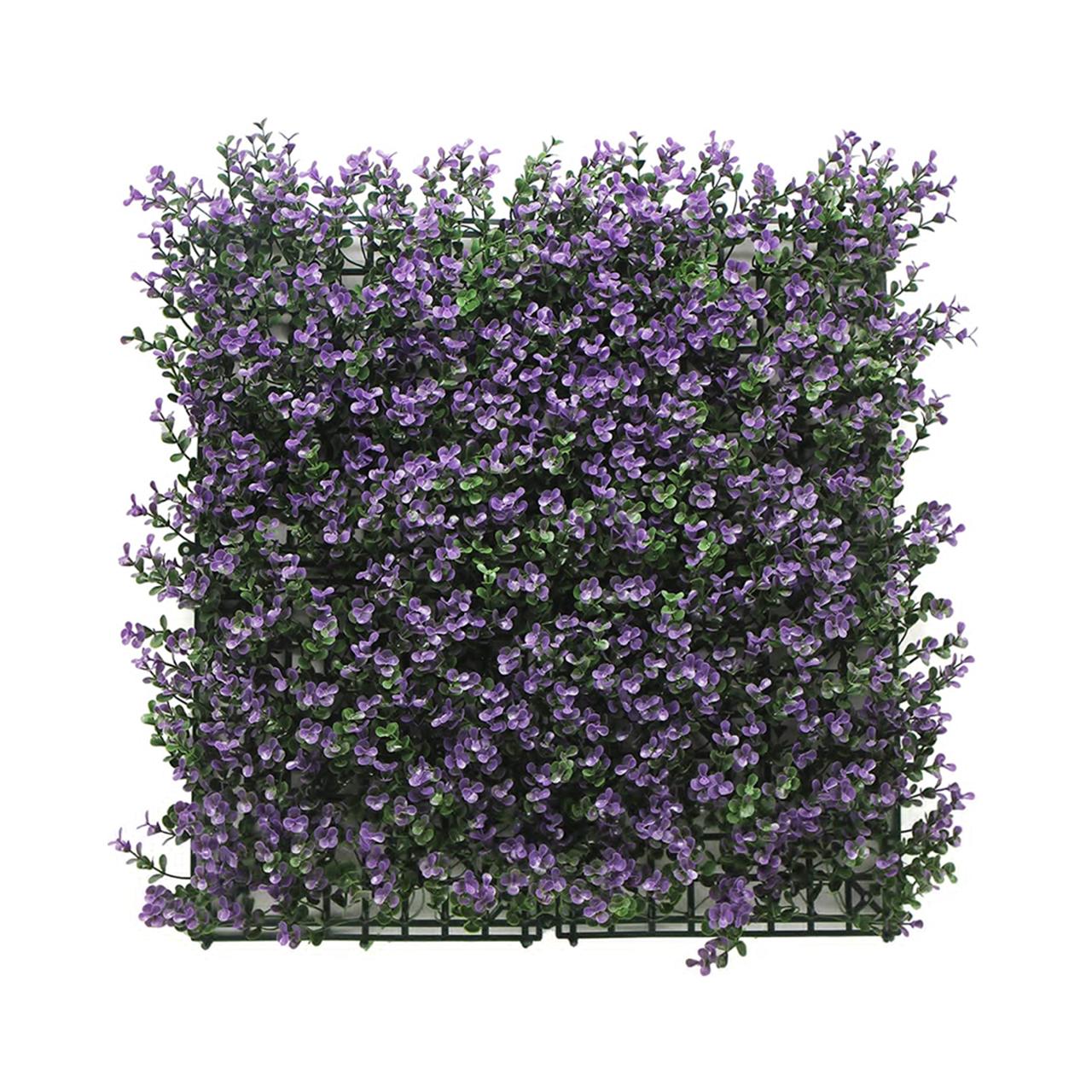 Buxus Violeta 50x50cm
