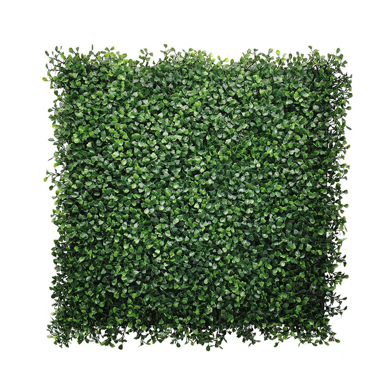 Boxwood Verde 50x50cm